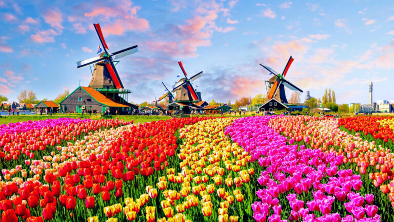 Zaanse_Schans