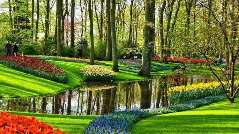 amsterdam-attraction-keukenhof-walkway