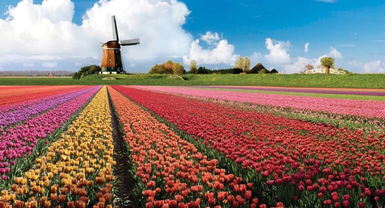 visiter-keukenhof-1