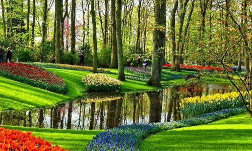 amsterdam-attraction-keukenhof-walkway