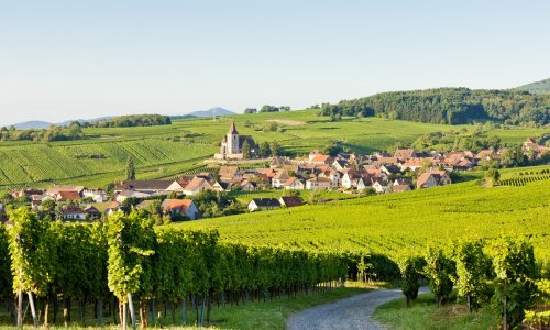 les-plus-belles-routes-du-vin-alsace-vignoble